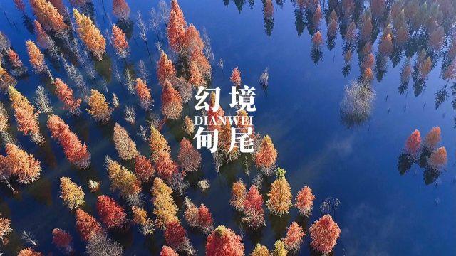 探索知识星球平台 | 四川都有什么好吃的啊专属交流学习社区
