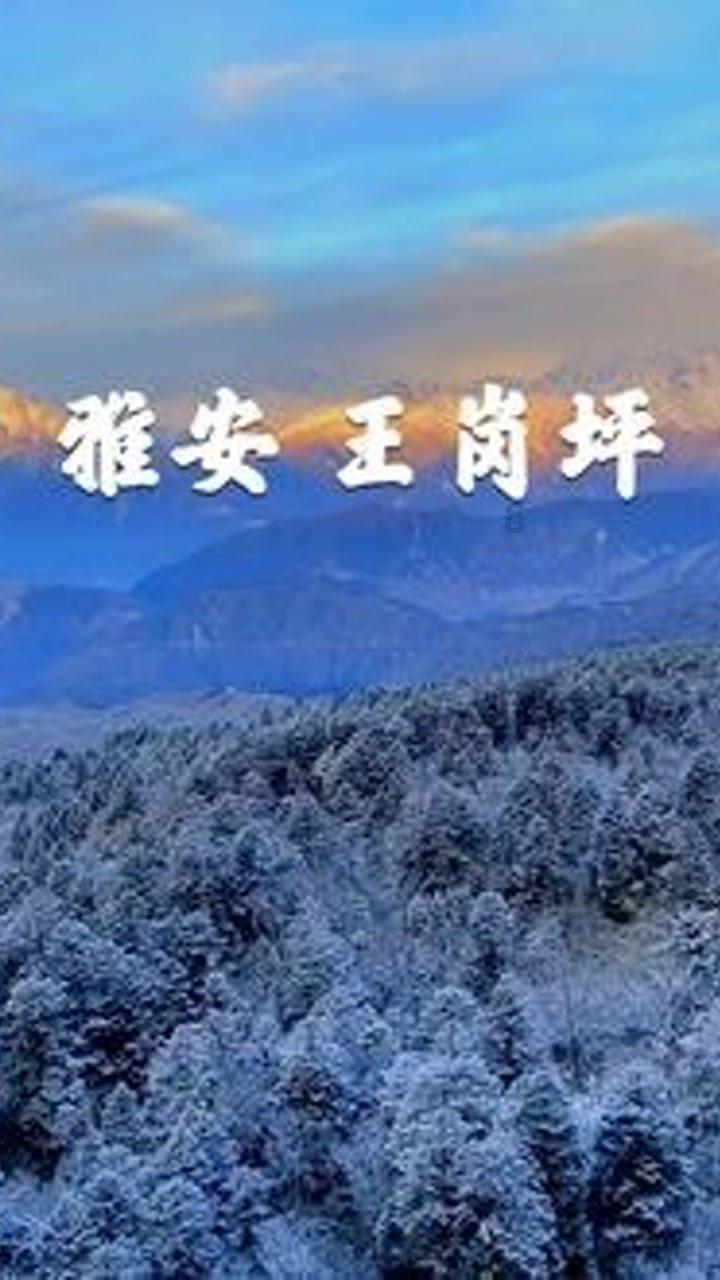 你经历过地震吗？当时你在做什么？地震后才去了什么自救措施？游戏画面