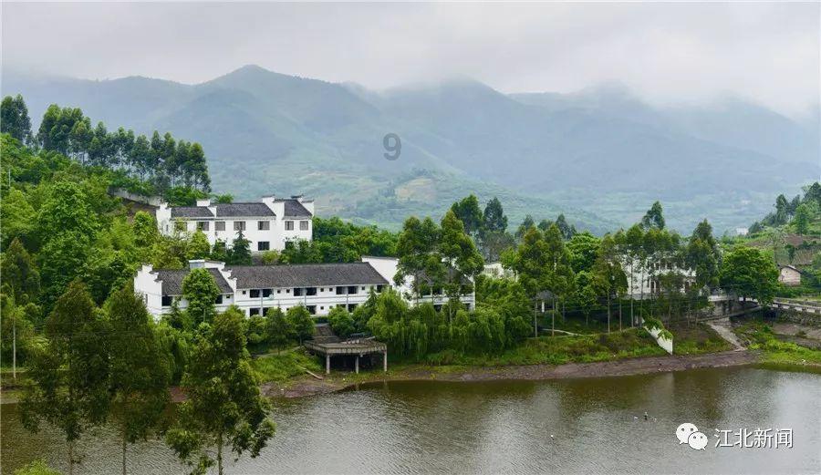 澳洲皮草