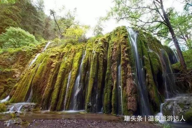 再见足球城、球迷心已死，大连38岁老将朱挺直播退役：我的忠诚和倔强就到此为止了