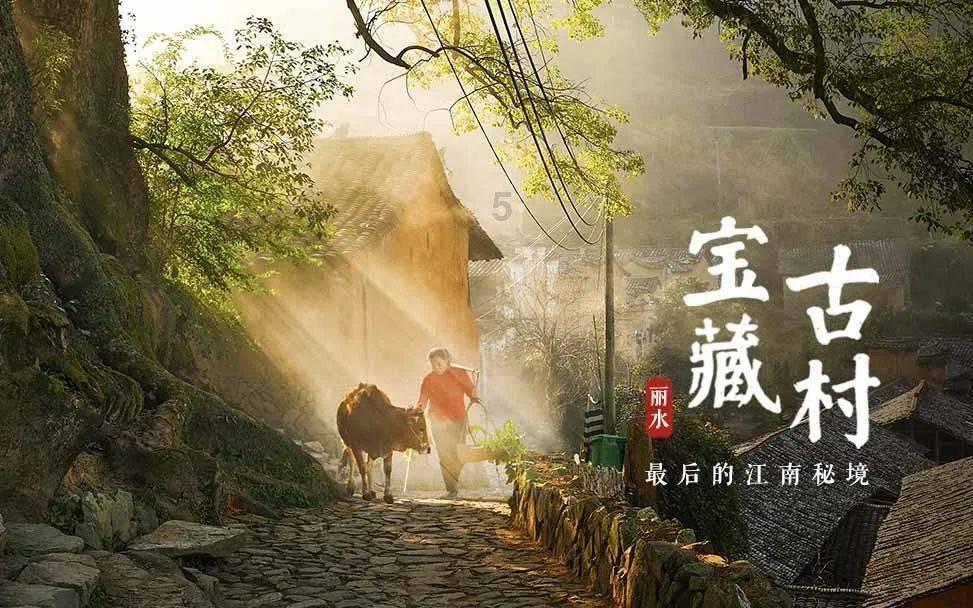 动物帮帮忙保卫家园