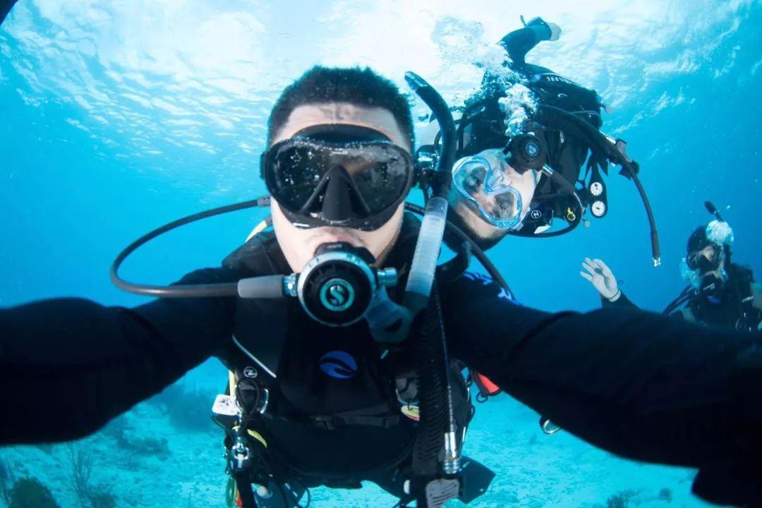 虫虫助手下载