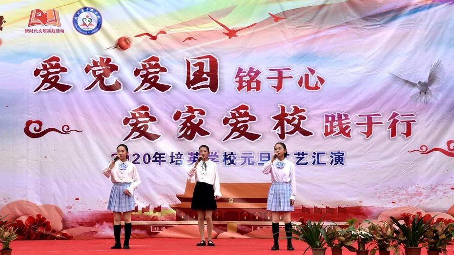 雪纳瑞养狗攻略,雪纳瑞要怎么饲养?