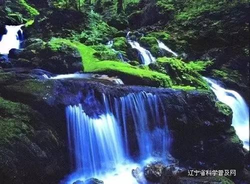 动漫明星竞速赛
