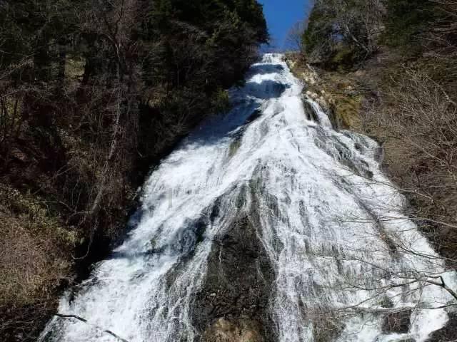 海岛大亨3