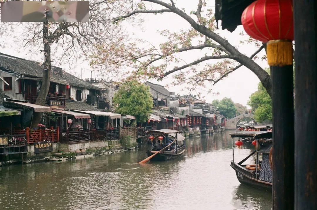 春雨直播app