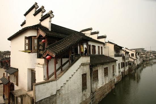 救援鹦鹉