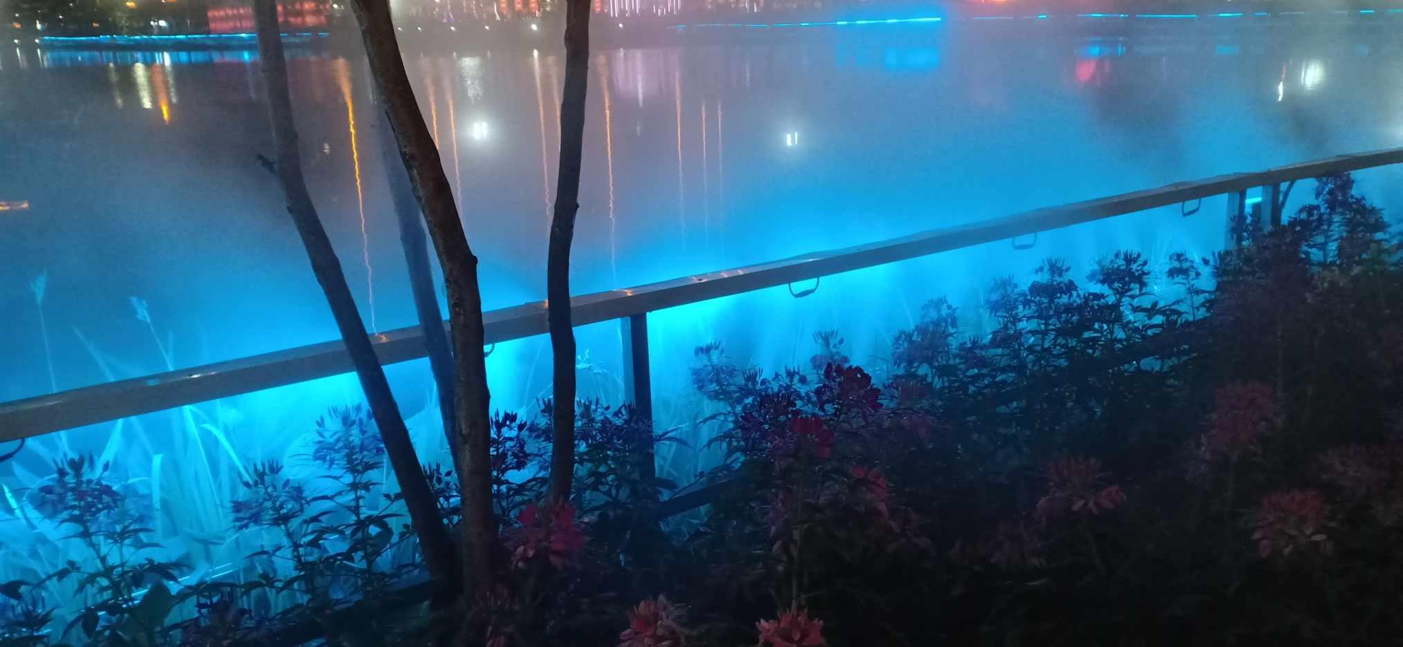 甜美奥莉暑假逛街